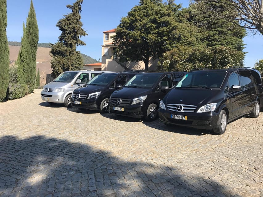 From Porto: Premium Douro Valley Small-Group Wine Tour - Who will enjoy this tour most?