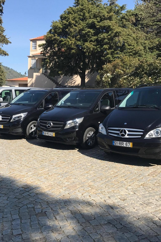 From Porto: Premium Douro Valley Small-Group Wine Tour - First winery: seeing how Douro wine is made
