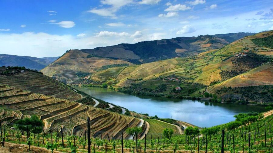 From Porto: Régua to Porto River Cruise with Lunch on Board - The two-hour coach ride to Régua