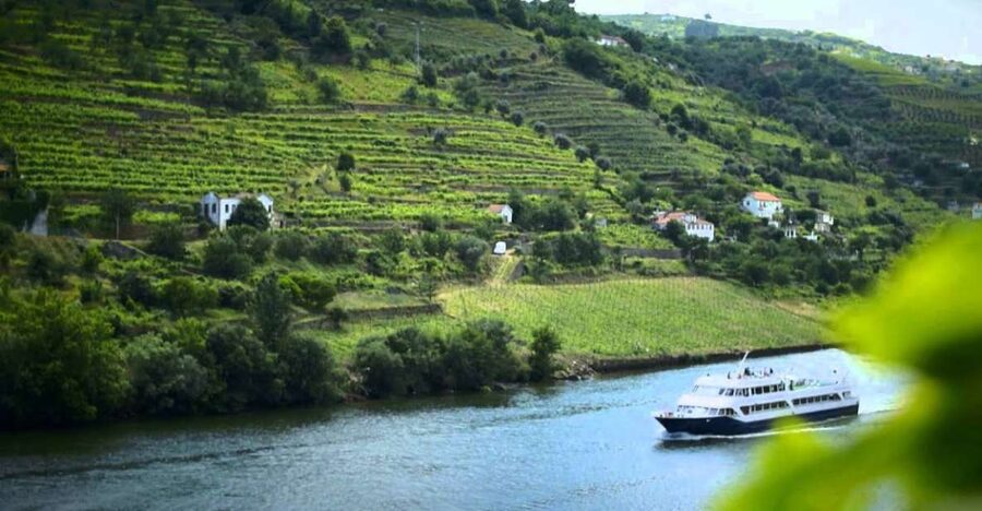 From Porto: Régua to Porto River Cruise with Lunch on Board - A short pause in Régua and the Douro wine region