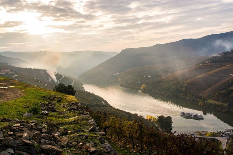From Porto: Régua to Porto River Cruise with Lunch on Board - Passing through the Carrapatelo and Crestuma-Lever dams