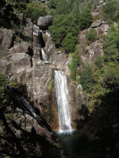 Small Group Day Tour of Geres National Park