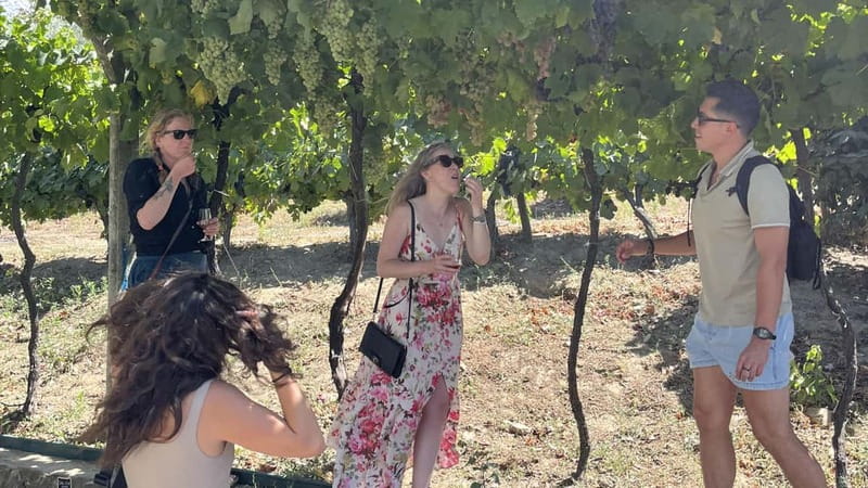 From Porto: Tastings at 2 Wineries, Chef's Lunch & Boat Tour - Pinhão, the river, and vineyard views