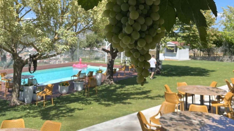 From Porto: Tastings at 2 Wineries, Chef's Lunch & Boat Tour - A farm-to-table lunch at the family estate
