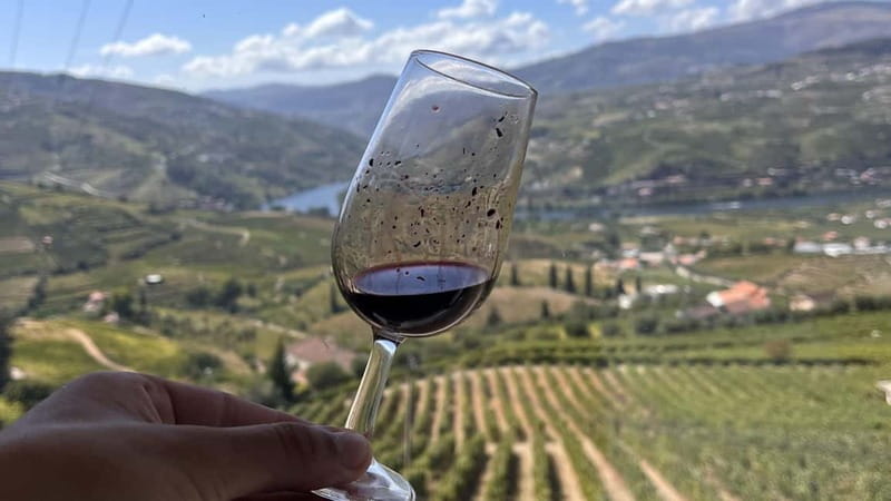 From Porto: Tastings at 2 Wineries, Chef's Lunch & Boat Tour - Who should book this Douro experience?