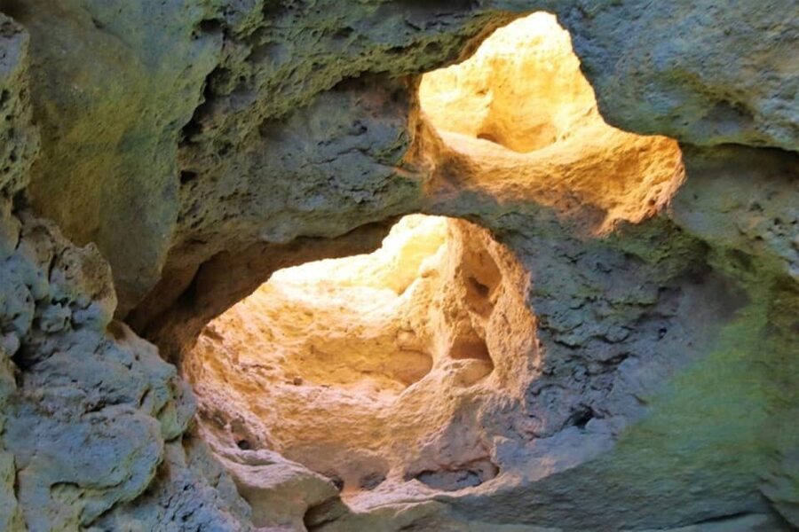 From Vilamoura: 2.5-Hour Benagil Cave and Dolphins Boat Tour - Seeing beaches, cliffs, and smaller caves