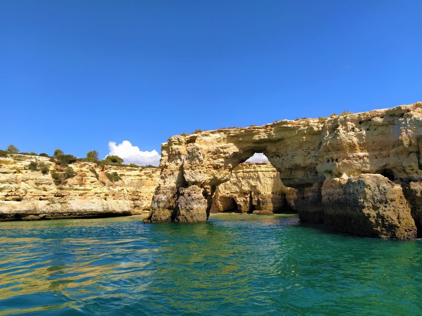 From Vilamoura: 2.5-Hour Benagil Cave and Dolphins Boat Tour - Who should book this experience