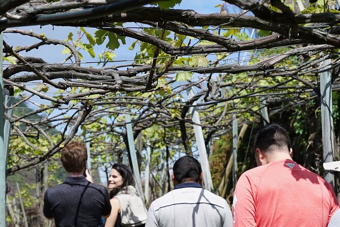 Full-Day Madeira Wine Tasting Tour with Lunch - Is $254.07 a fair price?