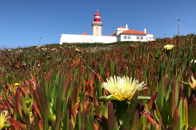 Full Day Tour: Sintra, Pena Palace, Cabo da Roca, Cascais - Cascais: a seaside finish with room to breathe
