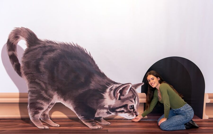 Funchal: 3D Fun Art Museum - Allow One Hour, But Do Not Rush the Camera Work