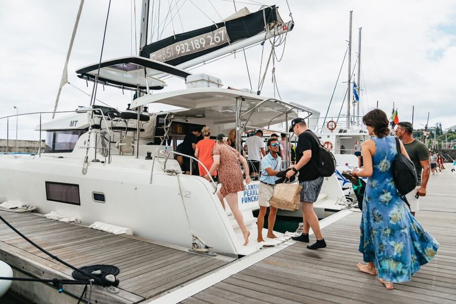Funchal Bay: Dolphin & Whale Watch Luxury Catamaran Cruise - Key points at a glance