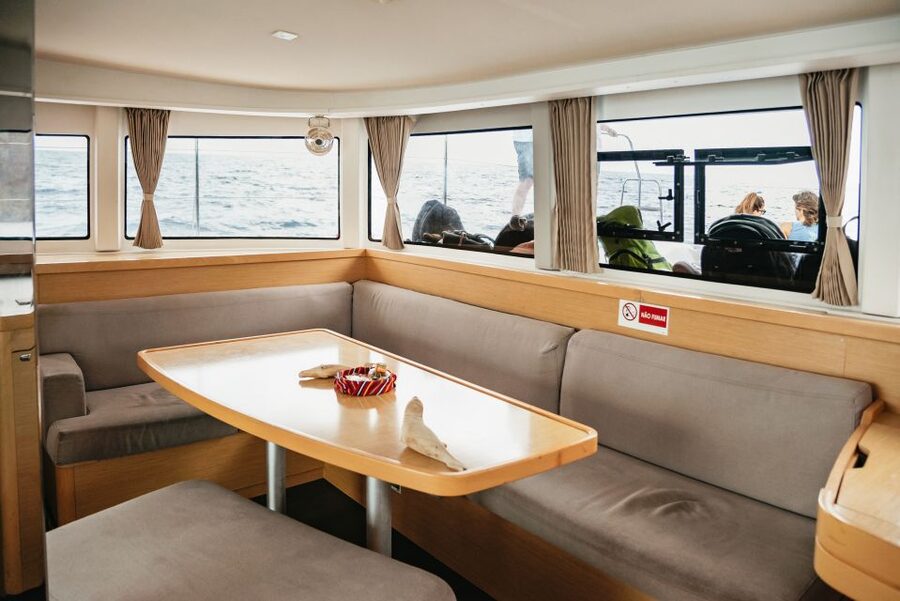 Funchal Bay: Dolphin & Whale Watch Luxury Catamaran Cruise - Who should book this catamaran trip