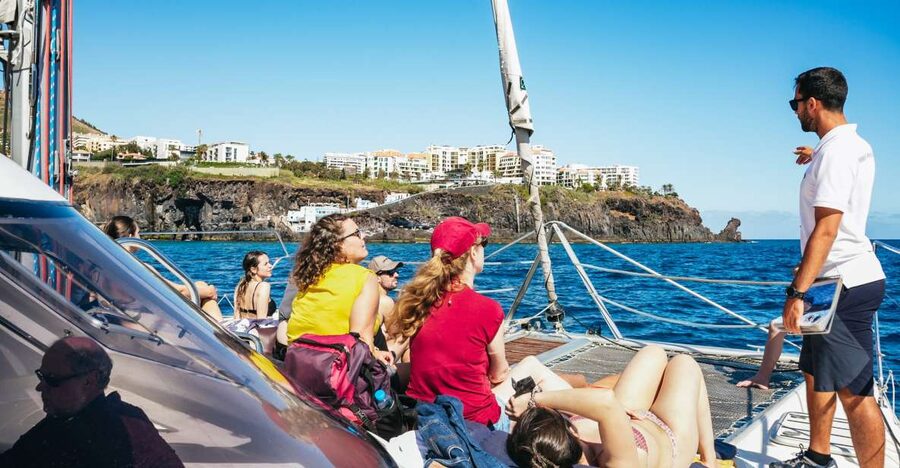 Funchal: Dolphin and Whale Watching by Luxury Catamaran - From Pier 8 to the open water