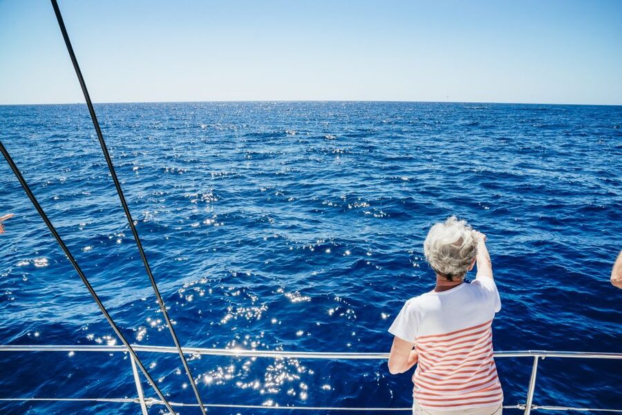 Funchal: Dolphin and Whale Watching by Luxury Catamaran - What a wildlife sighting really feels like