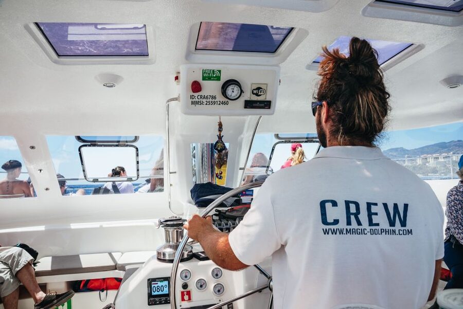 Funchal: Dolphin and Whale Watching by Luxury Catamaran - Cabo Girão and the swimming stop
