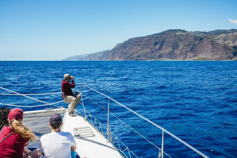 Funchal: Dolphin and Whale Watching by Luxury Catamaran - The sail back along Madeira’s coast