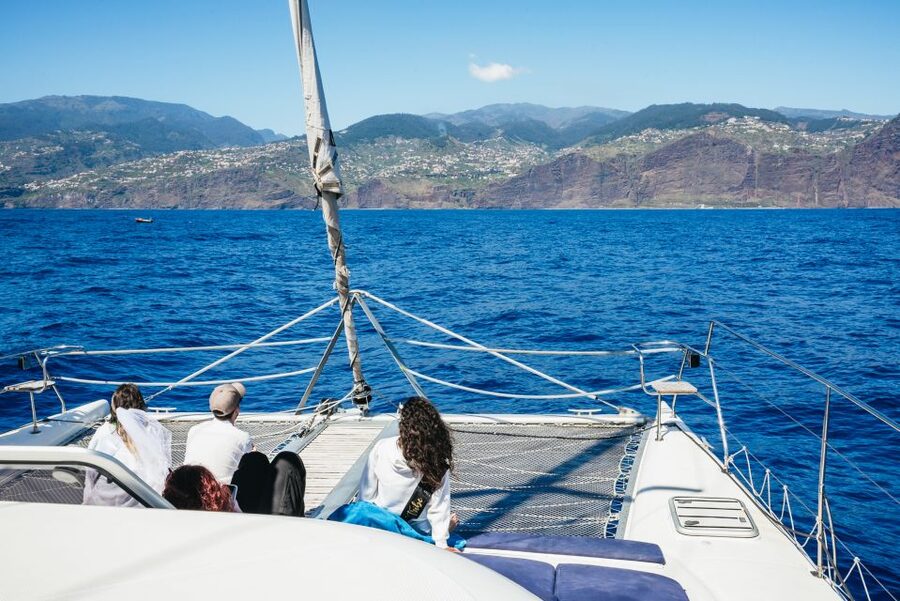 Funchal: Dolphin and Whale Watching by Luxury Catamaran - Why the smaller group changes the experience