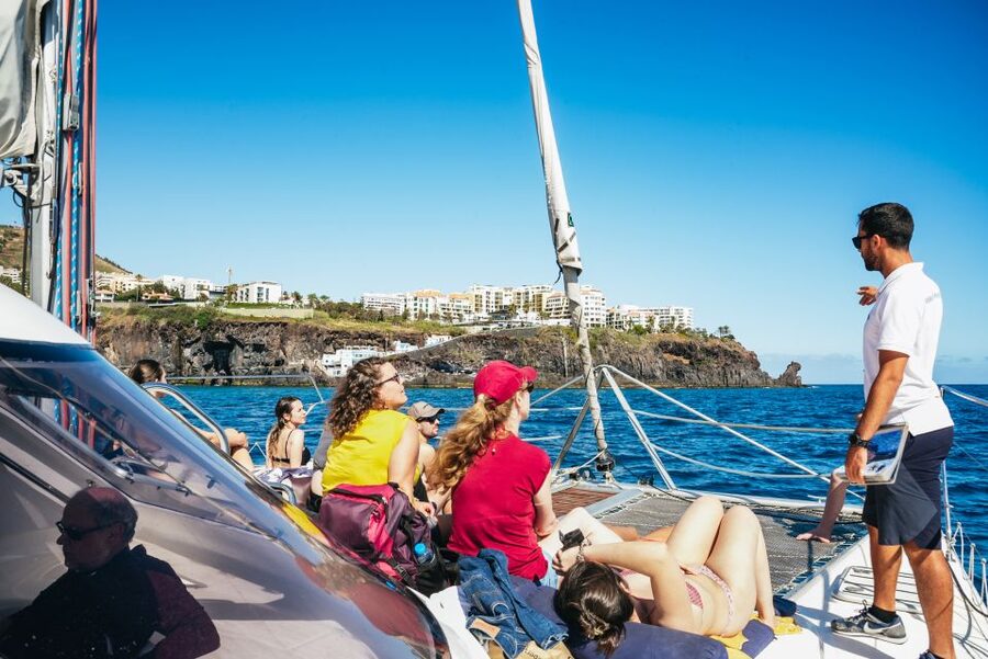 Funchal: Dolphin and Whale Watching by Luxury Catamaran - Is $47 a fair price?