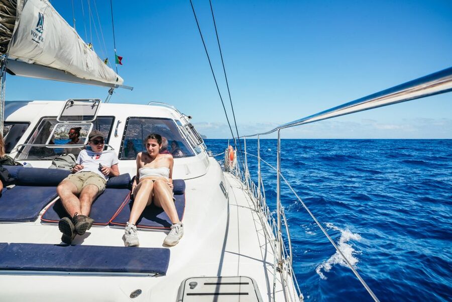 Funchal: Dolphin and Whale Watching by Luxury Catamaran - Who should book this catamaran trip?