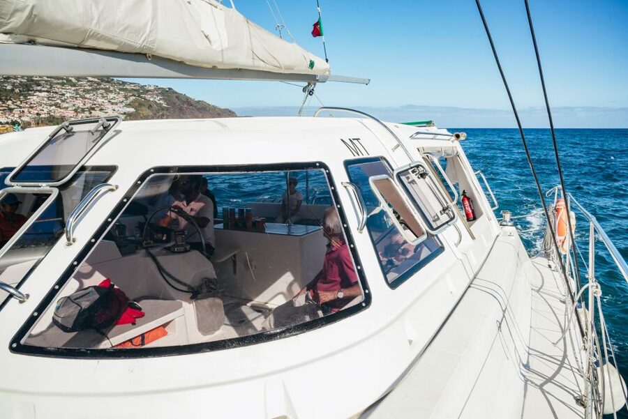 Funchal: Dolphin and Whale Watching by Luxury Catamaran - Finding dolphins and whales around Funchal