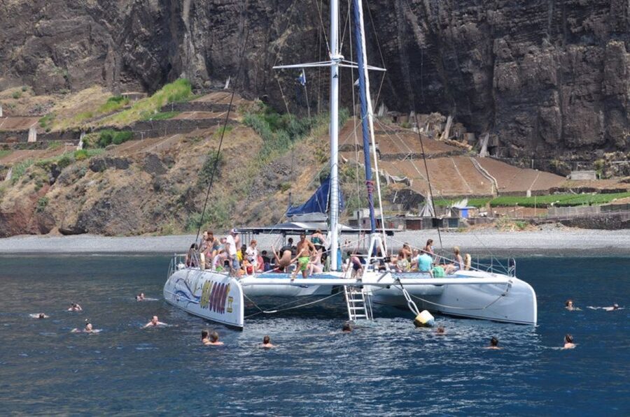 Funchal: Dolphin and Whale Watching Catamaran Cruise - Should you book the Seaborn catamaran cruise?