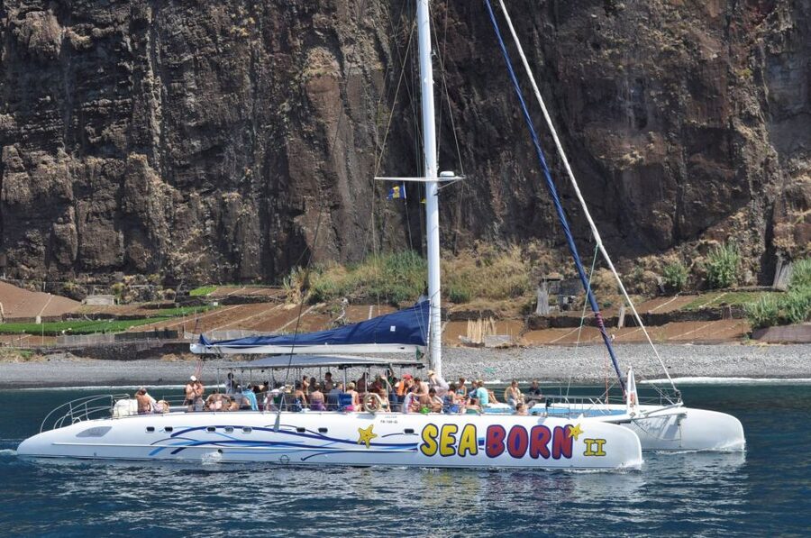 Funchal: Dolphin and Whale Watching Catamaran Cruise - What $41 buys you in Madeira