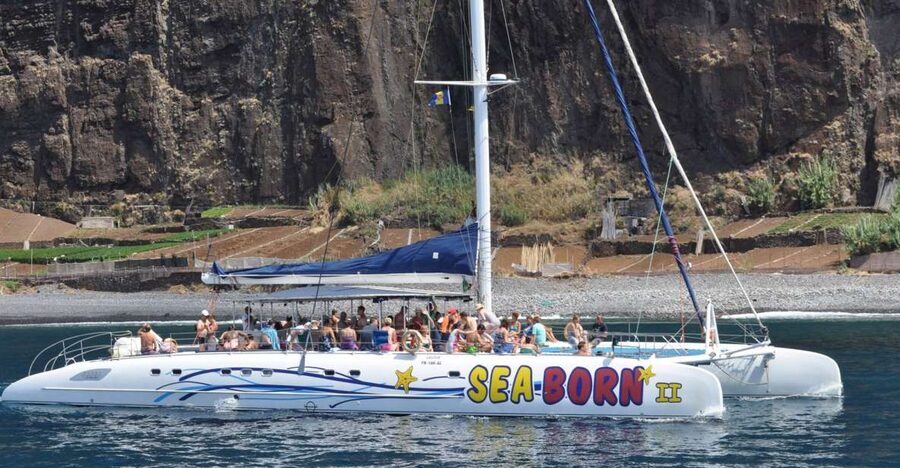 Funchal: Dolphin and Whale Watching Catamaran Cruise - Who will enjoy this cruise most