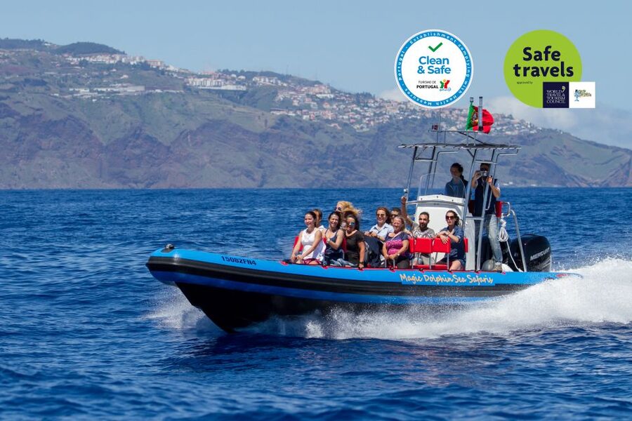 Funchal: Dolphin and Whale Watching Cruise - What this Funchal wildlife cruise is really like