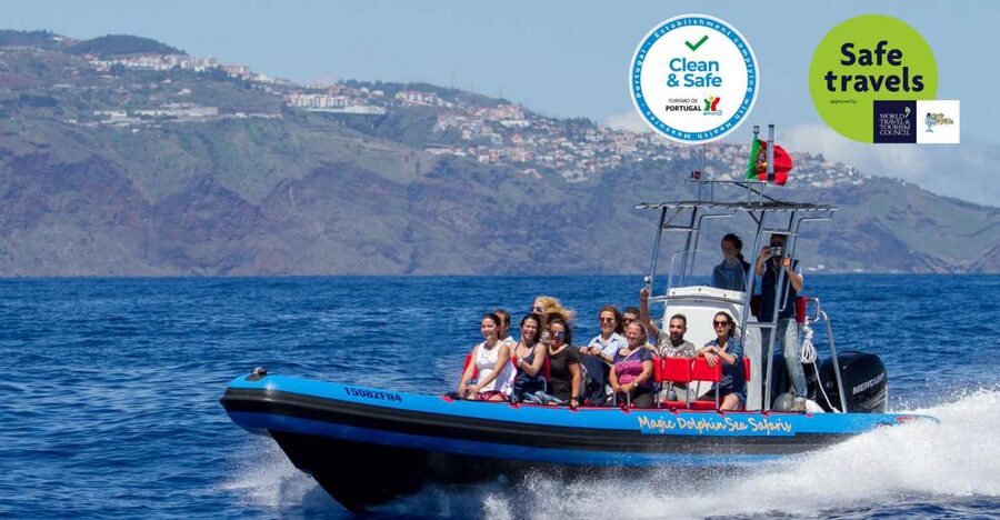 Funchal: Dolphin and Whale Watching Cruise - The rebuilt Sea Safari and its 360-degree seats