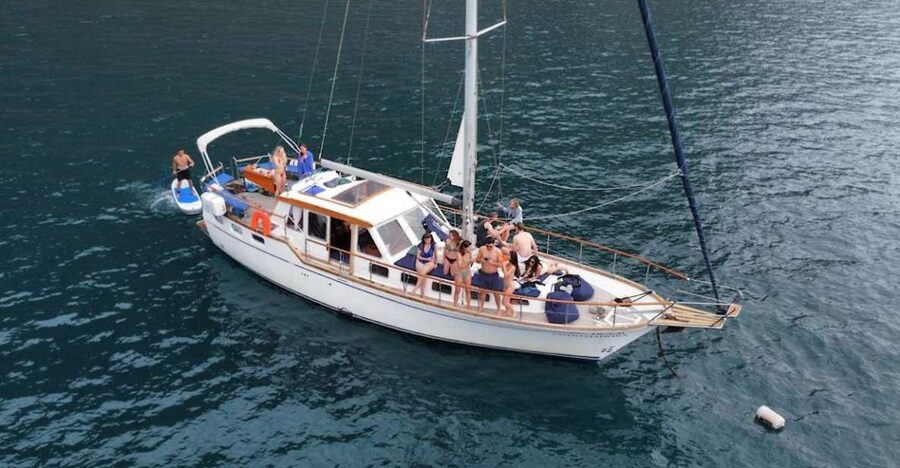 Funchal: Dolphin and Whale Watching Sailing Trip - Key points to know before sailing