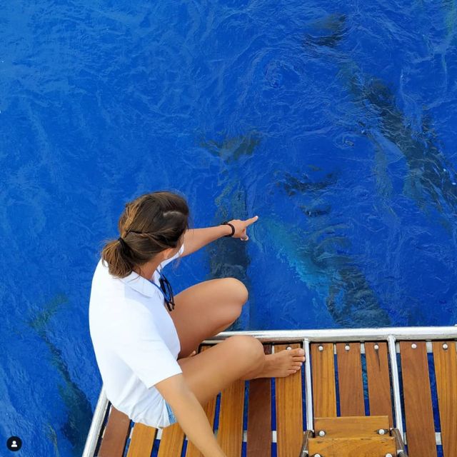 Funchal: Dolphin and Whale Watching Sailing Trip - Leaving Funchal from Cais 8