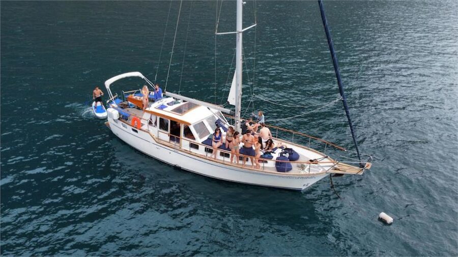Funchal: Dolphin and Whale Watching Sailing Trip - Looking for dolphins, whales, and sea turtles