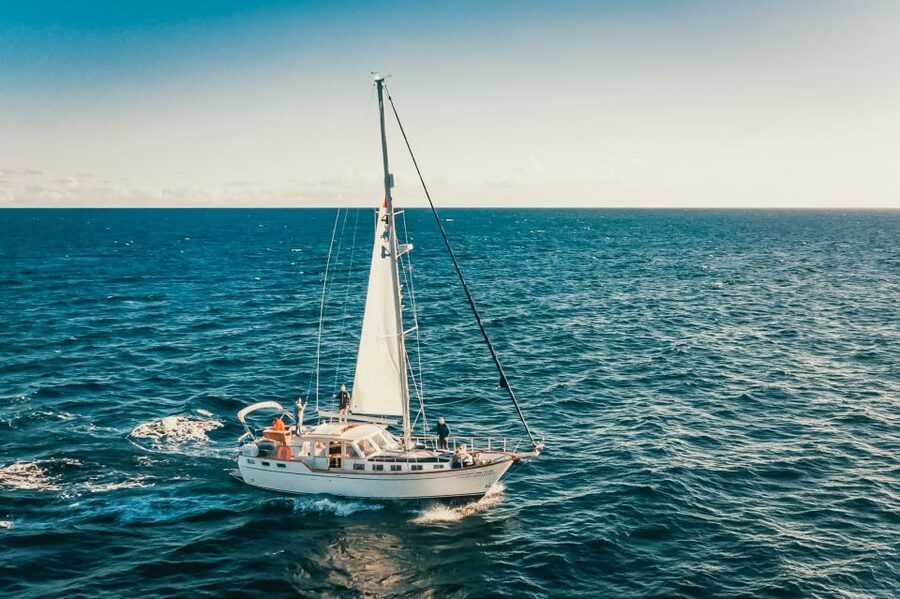 Funchal: Dolphin and Whale Watching Sailing Trip - What the $47 price really buys