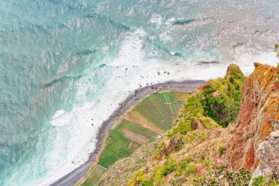 Funchal: Dolphin and Whale Watching Sailing Trip - Sailing along Madeira’s south coast
