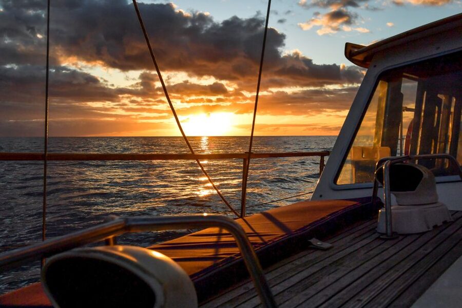 Funchal: Dolphin and Whale Watching Sunset Sailing Tour - Leaving Funchal Marina for the Atlantic