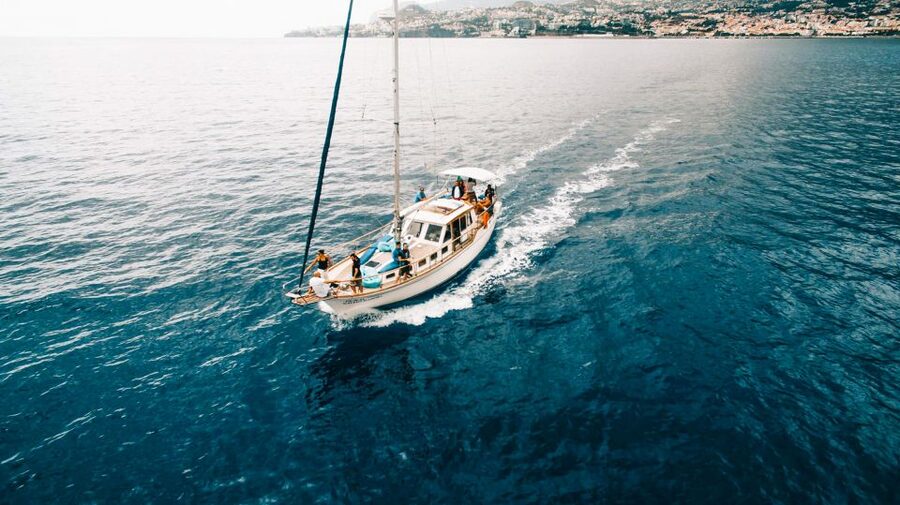 Funchal: Dolphin and Whale Watching Sunset Sailing Tour - How much value does the $63 price offer?