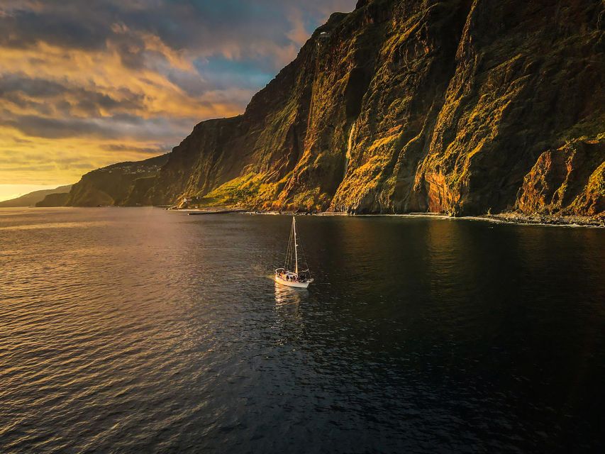 Funchal: Dolphin and Whale Watching Sunset Sailing Tour - Sea conditions, clothing, and small practical matters