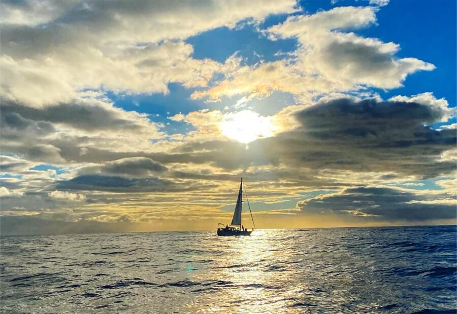 Funchal: Dolphin and Whale Watching Sunset Sailing Tour - Should you book the Gaviao Madeira sailing tour?