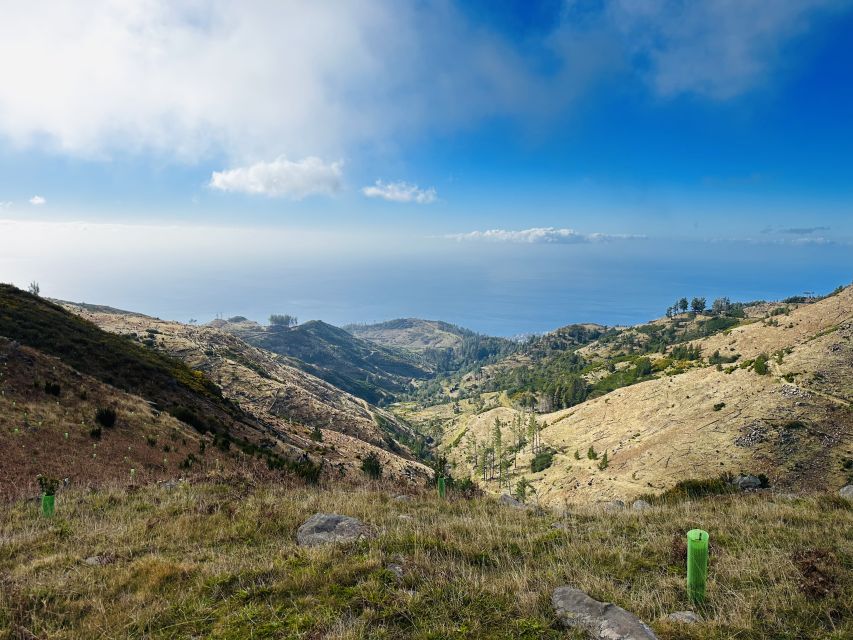 Funchal: East Madeira Island Guided Tour & Laurissilva Walk - Who should book this Madeira day trip?