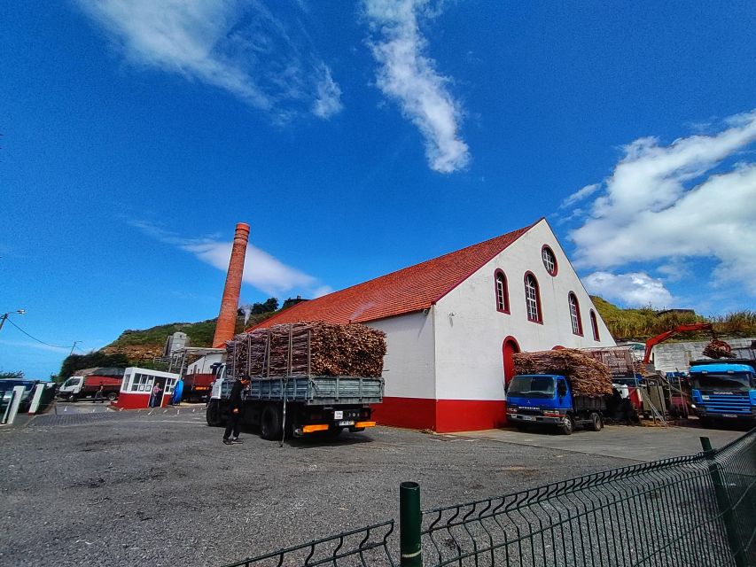 Funchal: East Madeira Island Guided Tour & Laurissilva Walk - Guindaste viewpoint in Faial