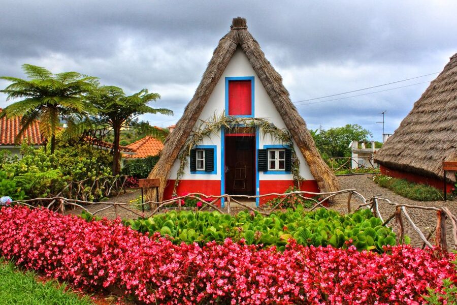 Funchal: East Madeira Island Guided Tour & Laurissilva Walk - The $35 price: excellent value, with a few extras