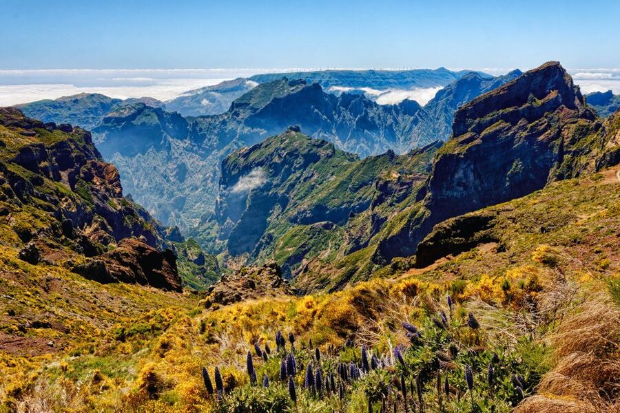 Funchal: East Madeira Island Guided Tour & Laurissilva Walk - Pico do Arieiro: a dramatic start at 1,818 meters