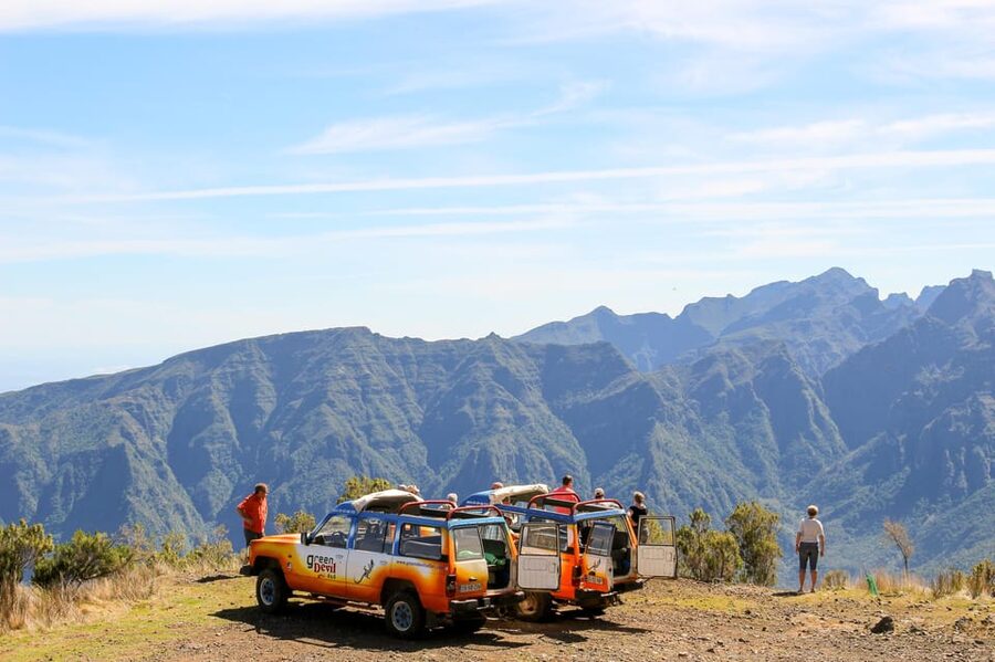 Funchal: Enchanted Terraces, Porto do Moniz & Fanal 4WD Tour - Fanal Forest and the old Laurissilva trees