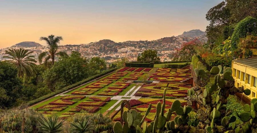 Funchal: Guided Old Town Tuk Tuk Tour and Botanical Gardens - Old Town streets with a local introduction