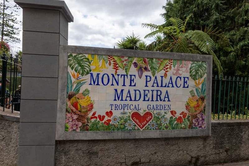 Funchal: Guided Tuk Tuk Tour to Toboggan Rides & Old Town - Key points at a glance