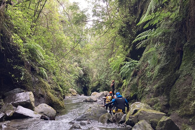 Funchal: Half-day Beginners Canyoning - Ribeira: where the adventure gets properly wet