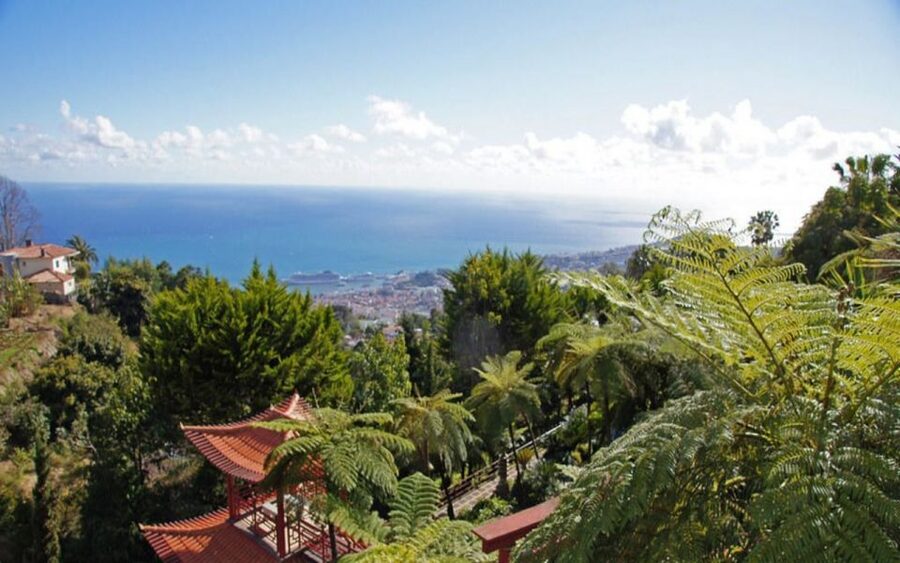 Funchal: Monte Palace Tropical Gardens Tuk Tuk Tour - Starting in Central Funchal
