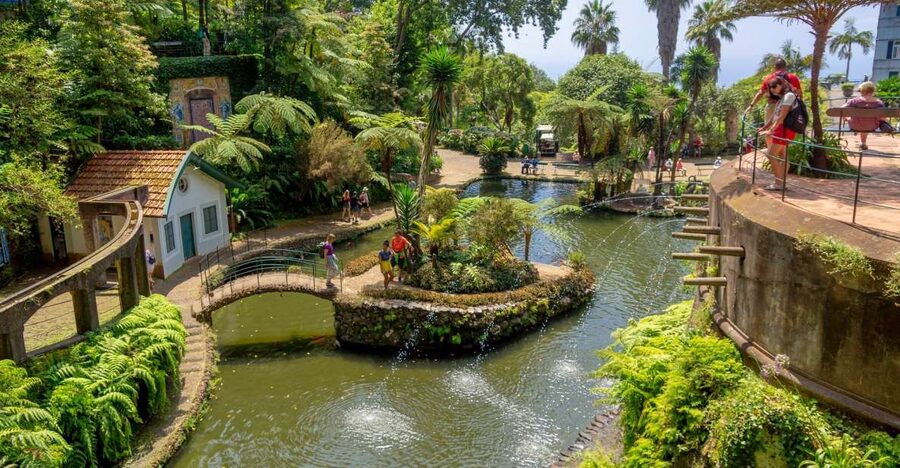Funchal: Monte Palace Tropical Gardens Tuk Tuk Tour - The Tuk Tuk Ride Up to Monte