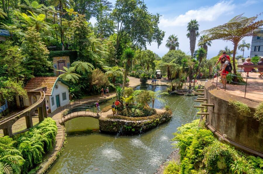 Funchal: Monte Palace Tropical Gardens Tuk Tuk Tour - Walking Through Monte Palace Tropical Gardens