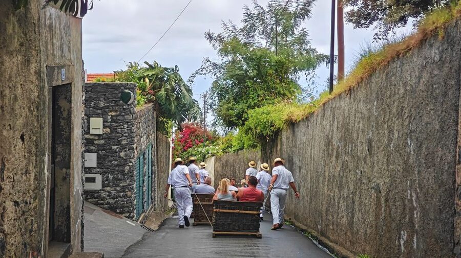 Funchal: Monte Toboggan and Old Town Tour by Tuk-Tuk - Who gets the best value from this tour